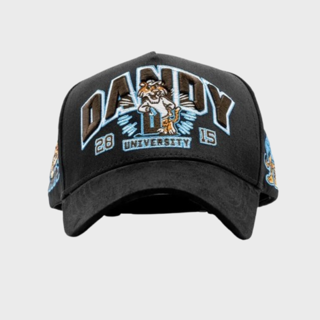 Dandy University Snapback Hat