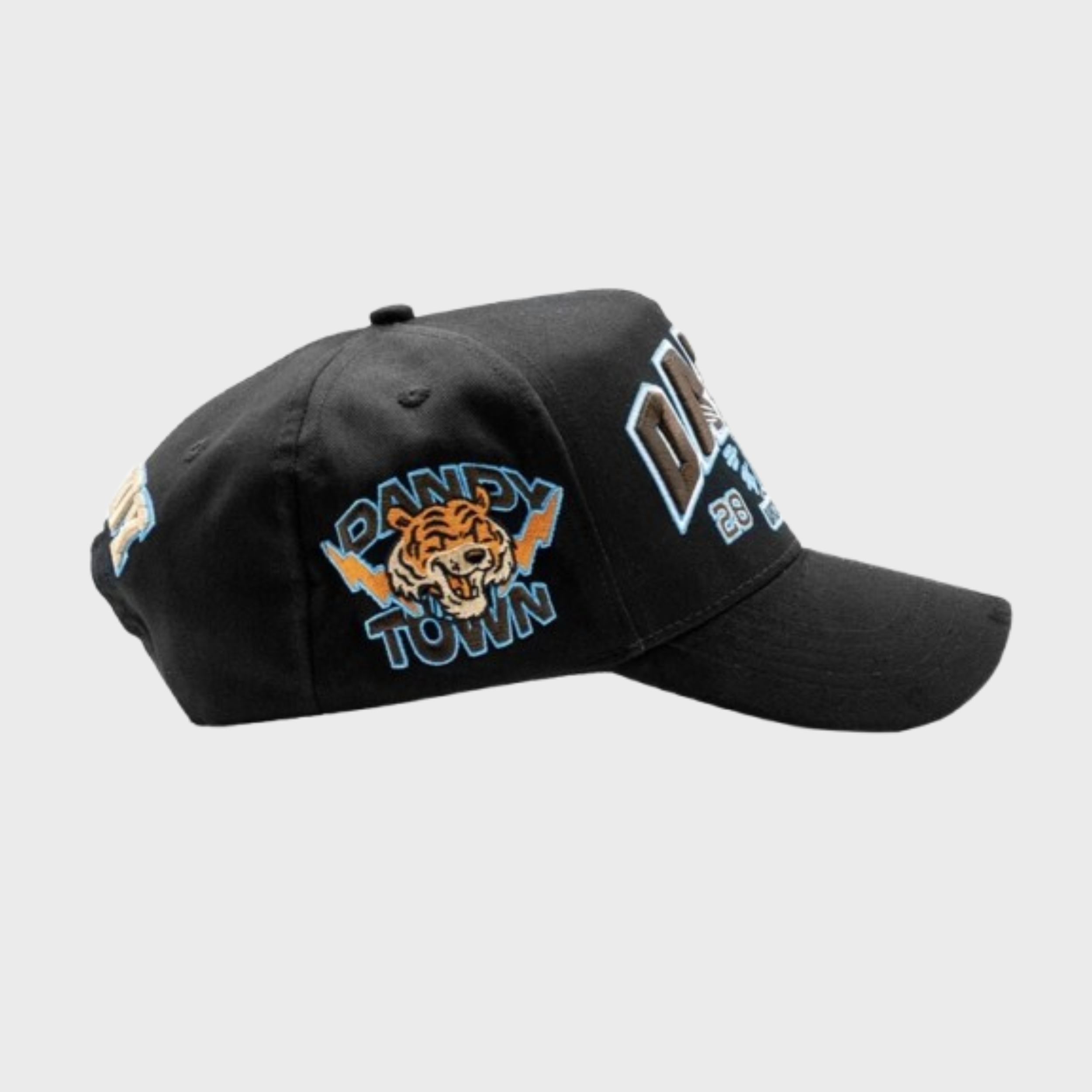 Dandy University Snapback Hat