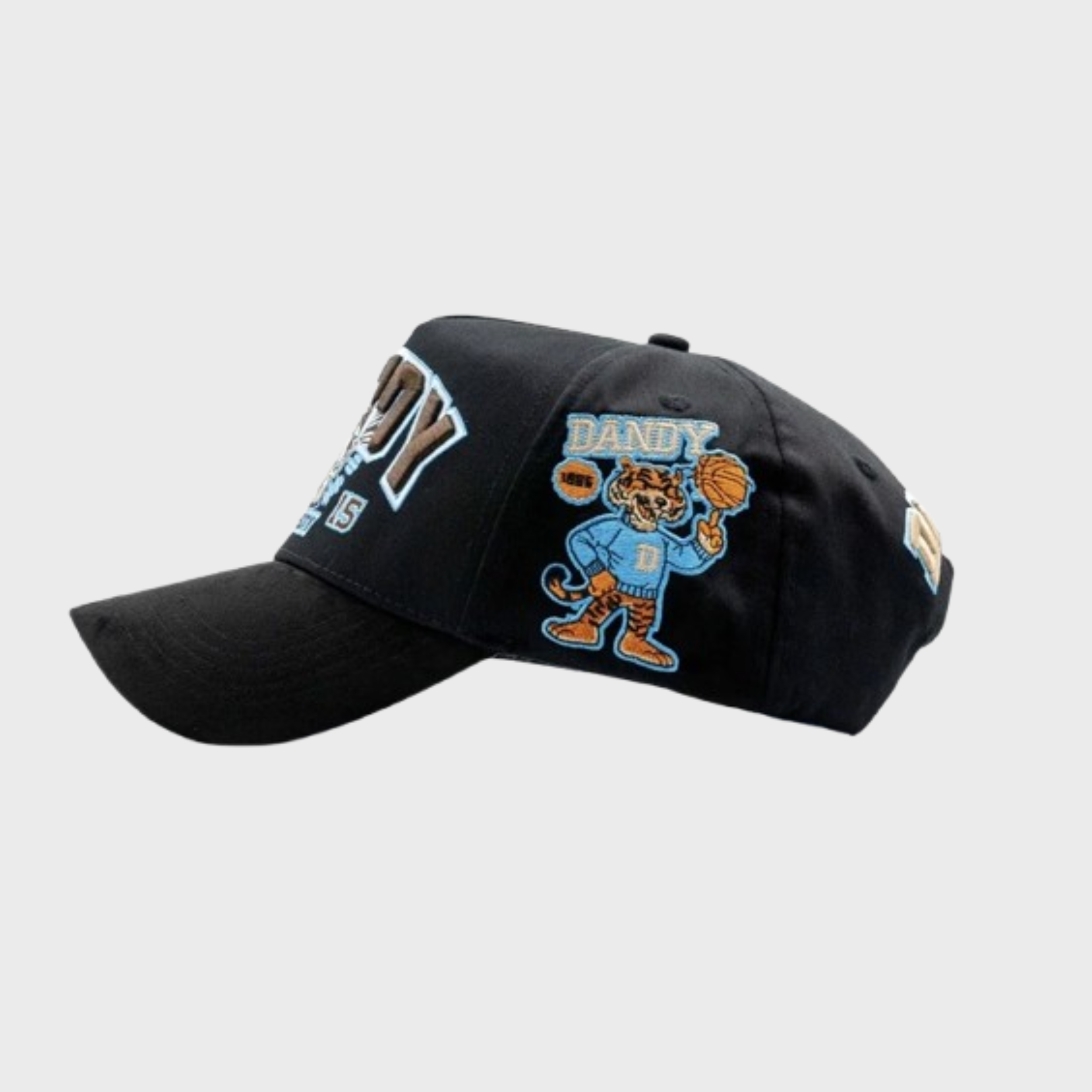 Dandy University Snapback Hat